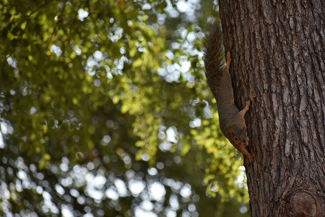 了连败煎熬 了连败煎熬