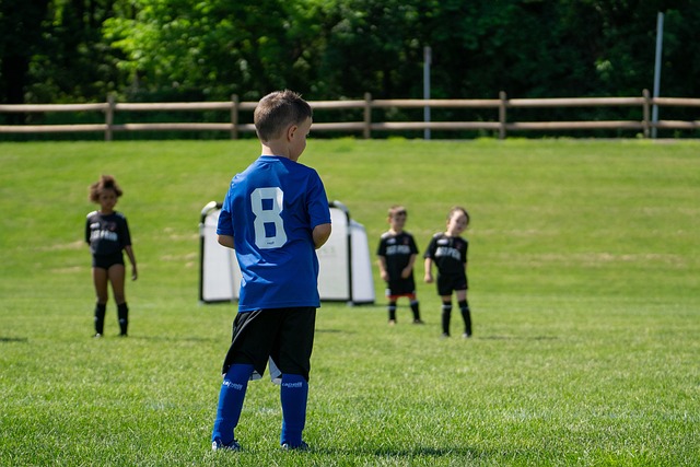 不仅彰显了 不仅彰显了