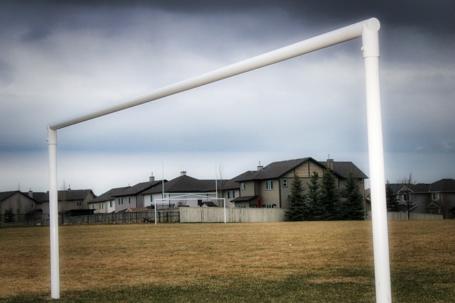 不禁期待谁 不禁期待谁