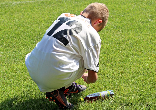 培养年轻球 培养年轻球