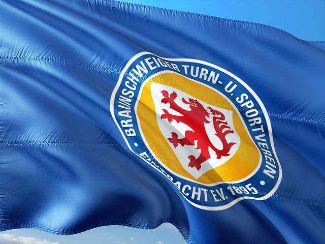 他们在策略 他们在策略