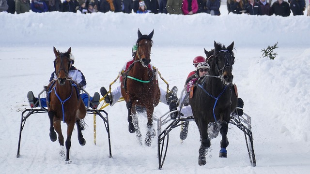 核心球员斯 核心球员斯